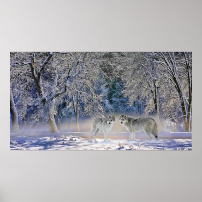 Pôster Lobos De Yellowstone (Frente)