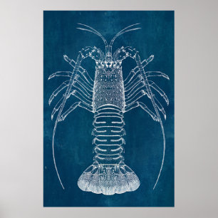 Pôster Lobster Blueprint