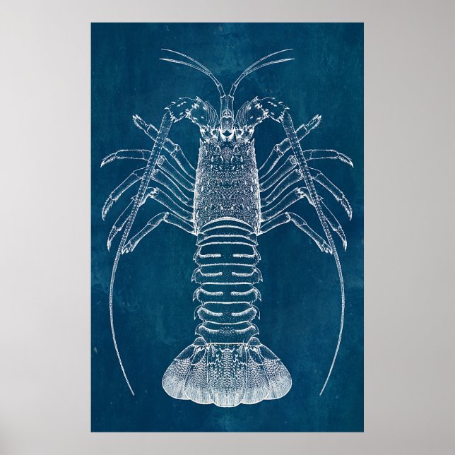 Pôster Lobster Blueprint (Frente)