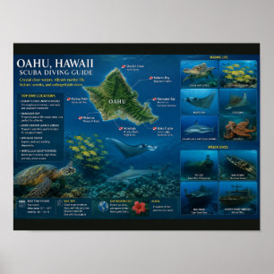 Poster Locais de Mergulho no Havaí