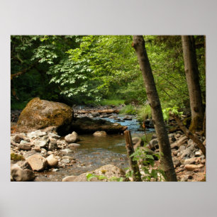 Pôster Local de Ocultação