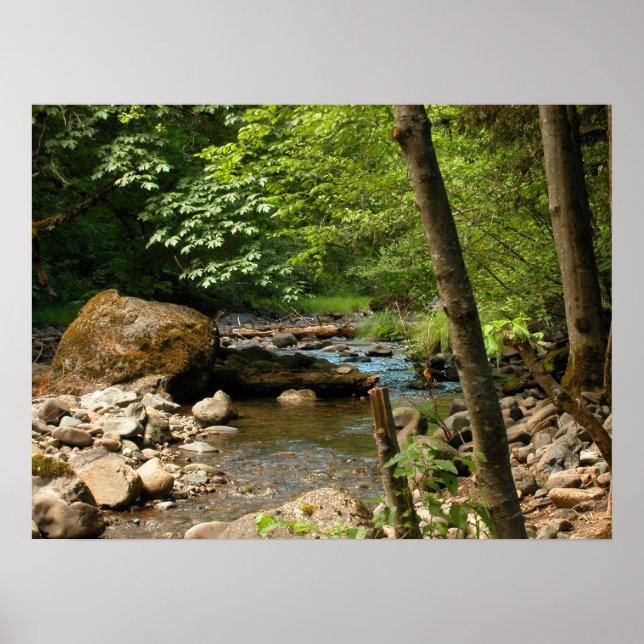 Pôster Local de Ocultação (Frente)