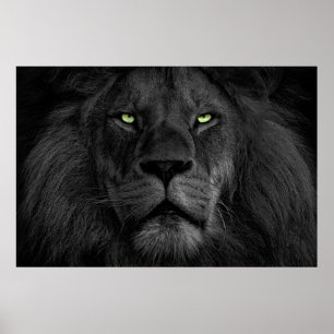 Poster L'oeil du lion