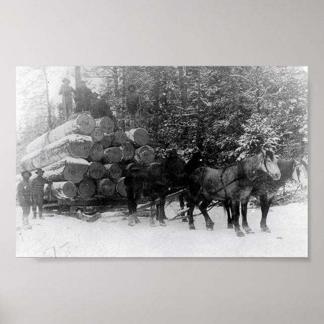 Pôster Log sled (Frente)