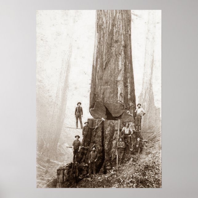 Poster Loggers Americanos Circa 1880 (Frente)