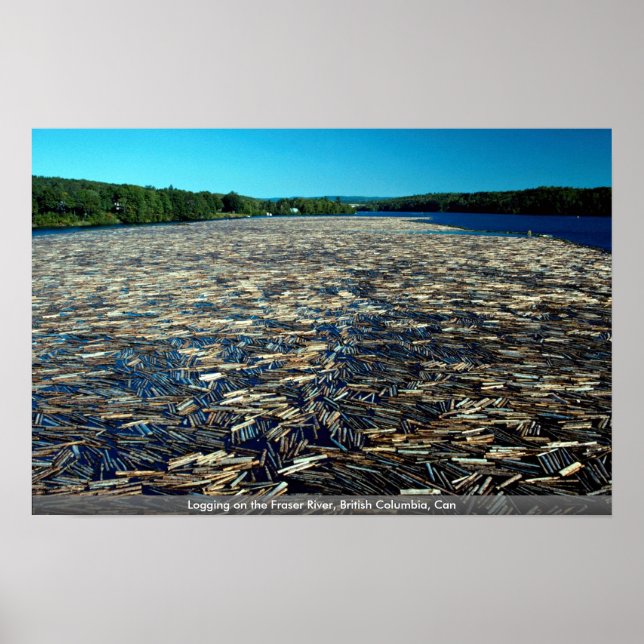 Pôster Logging on the Fraser River, British Columbia, Can (Frente)