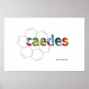 Pôster logotipo de Caedes.net