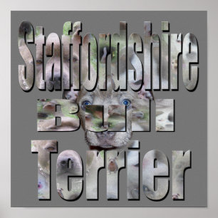 Poster Logotipo de imagem de Staffordshire Bull Terrier,