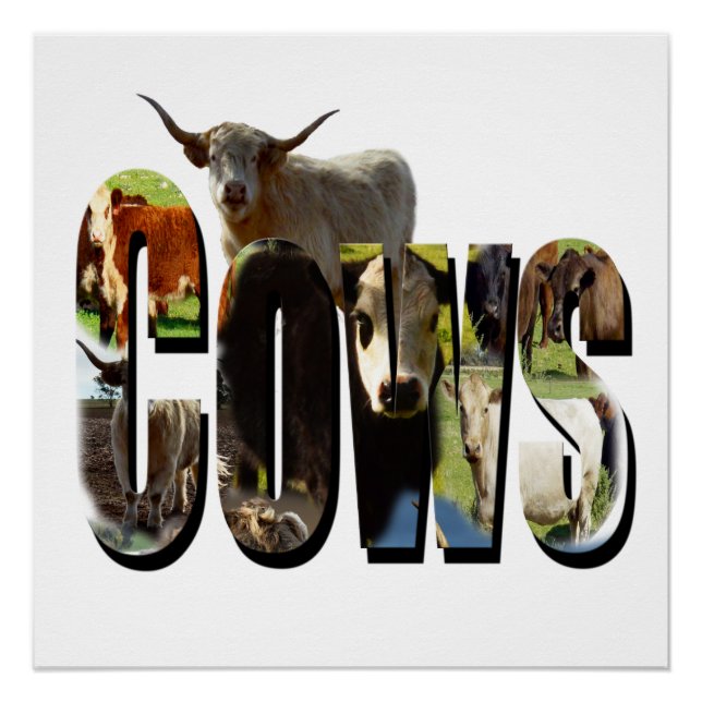 Pôster Logotipo De Vacas Com Vacas, (Frente)