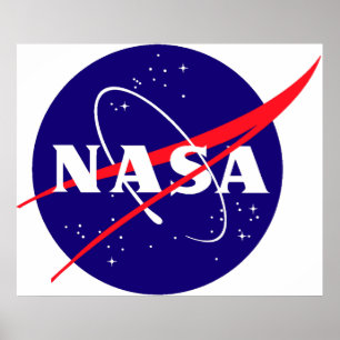 Pôster Logotipo do Meatball da NASA