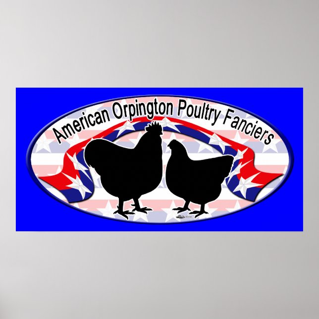 Pôster Logotipo do Orpington Club (Frente)