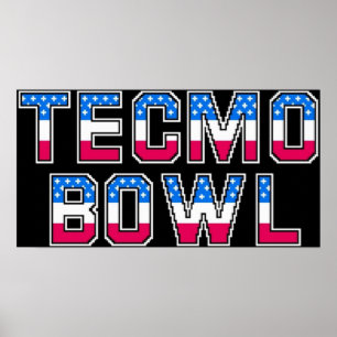 Poster Logotipo do Tecmo Bowl