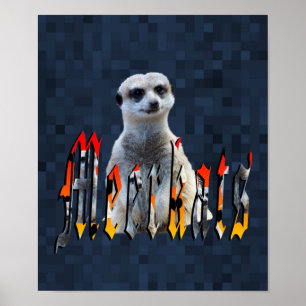 Poster Logotipo Meerkat Com Meerkats,