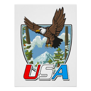 Pôster Logotipo Patriot dos EUA