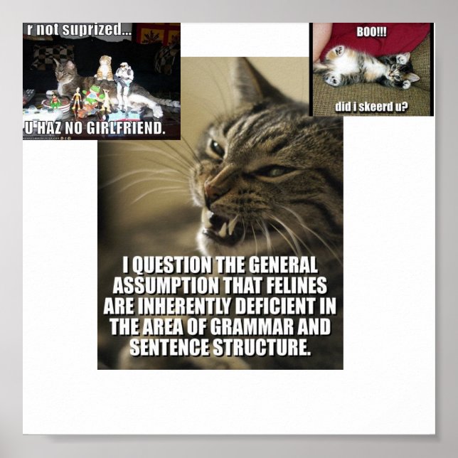 Pôster lol-catz-greback, boo-do-i-skeerd-u_jpg_th... (Frente)