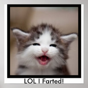 Pôster LOL eu Farted!