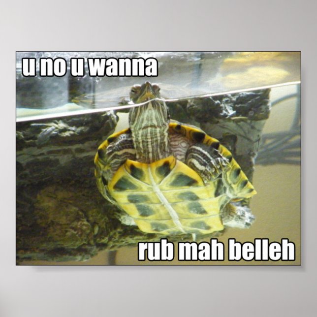Poster LOL-tartaruga - rub mah belleh (Frente)