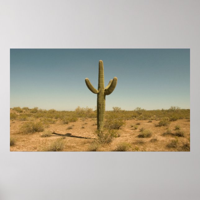 Poster Lone Cactus (Frente)