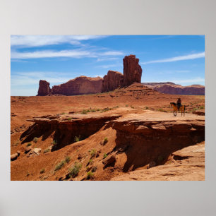 Poster Lone Cowboy