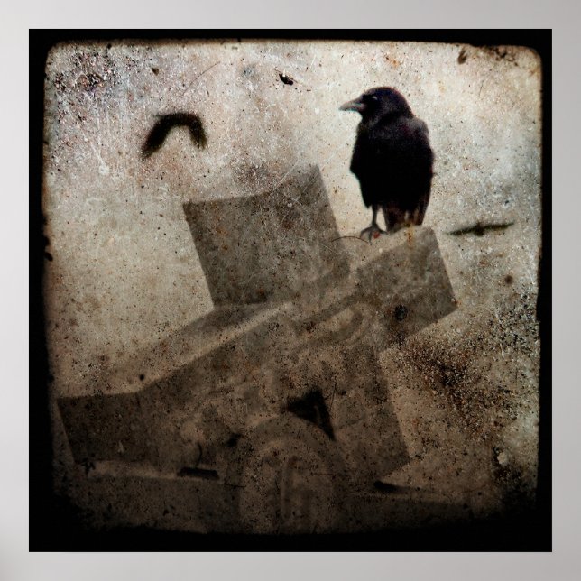 Pôster Lone Crow (Frente)