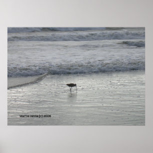 Pôster Lone Sandpiper na praia de Watsonville