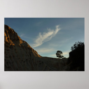 Pôster Lone Torrey Pine California Sunset Landscape