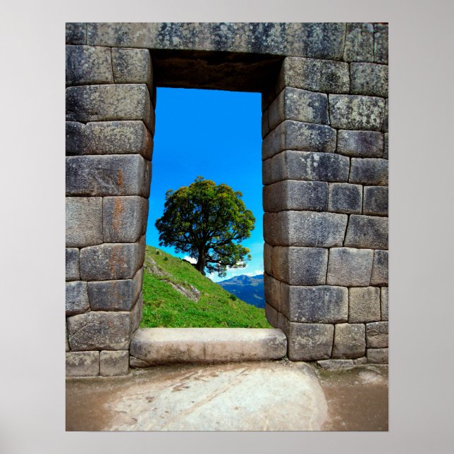 POSTER LONE TREE DE MACHU PICHU (Frente)