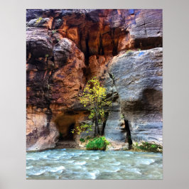Poster Lone Tree Zion National Park Foto do Rio Virgem