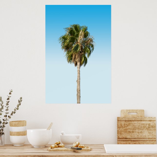 Poster Lonely palm tree (Cozinha)