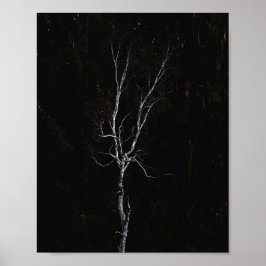 Poster Lonely white tree