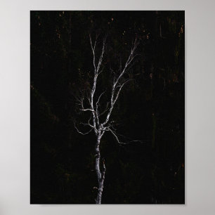 Poster Lonely white tree