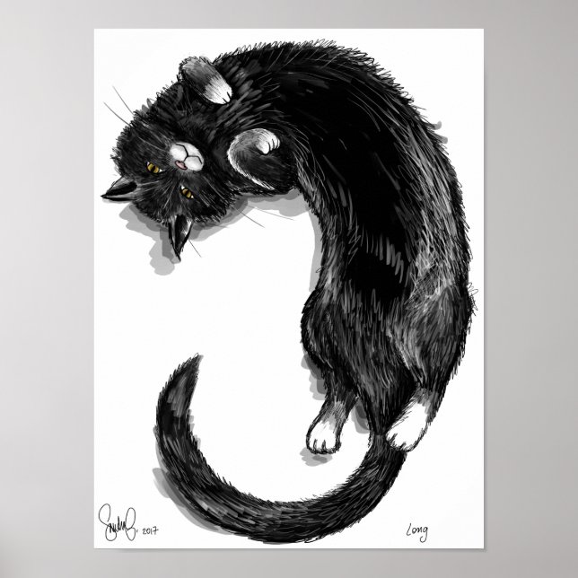 Poster Longa (Frente)