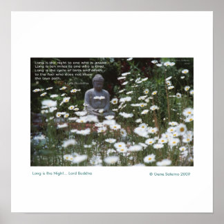 Poster Longa é a Noite