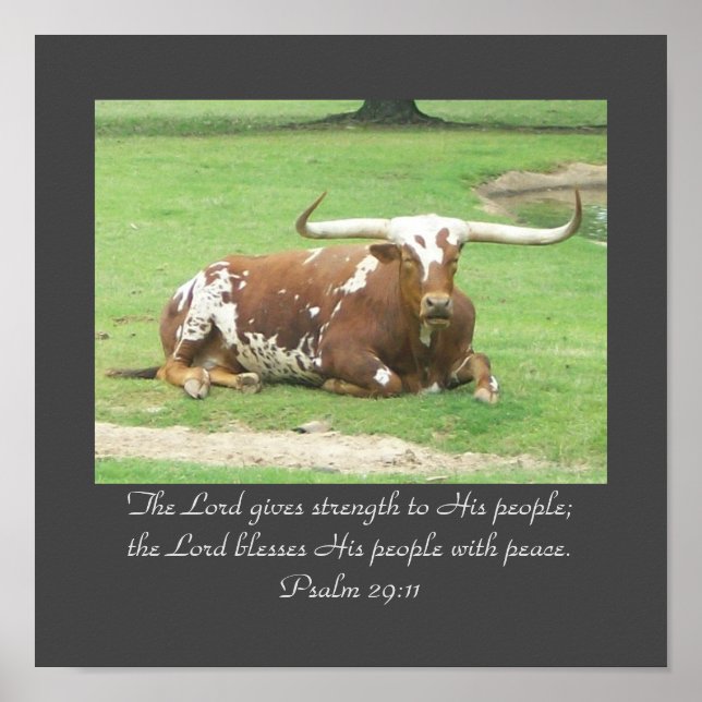 Poster Longhorn 11"x11' (Frente)