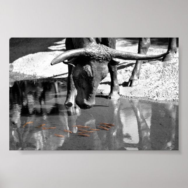 Poster Longhorn and Goldfish (Frente)