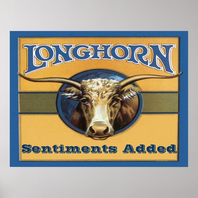 Poster Longhorn, editar texto, (Frente)