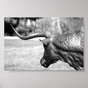 Poster Longhorn Profile