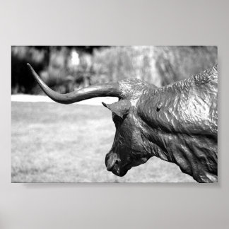 Poster Longhorn Profile
