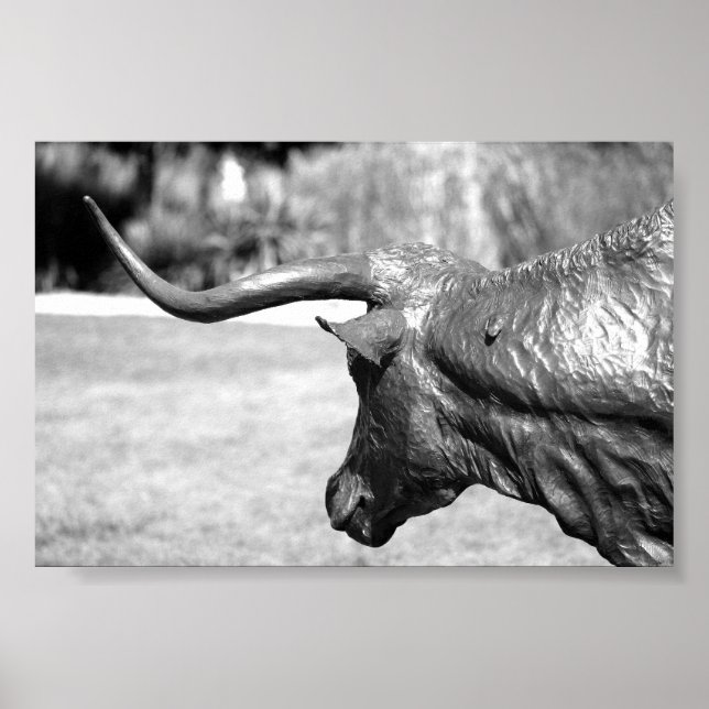 Poster Longhorn Profile (Frente)