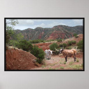 Poster Longhorn Ravine - 60x40