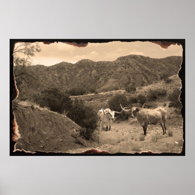 Poster Longhorn Ravine Sepia - 60x40 (Frente)