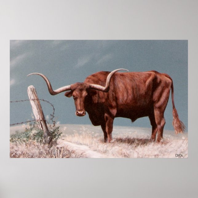 Poster Longhorn Steer (Frente)
