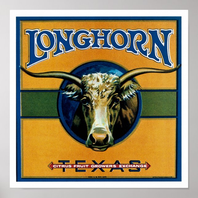 Pôster Longhorn Texas (Frente)