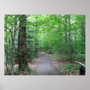 Poster Lonsie Lake Trail em New Hampshire