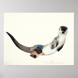 Pôster Lontra curiosa 2003