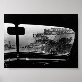 Poster Looking out the window