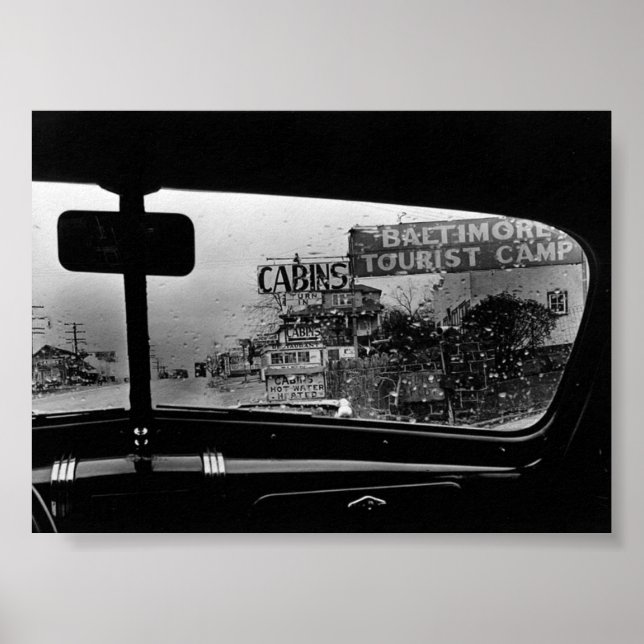 Poster Looking out the window (Frente)