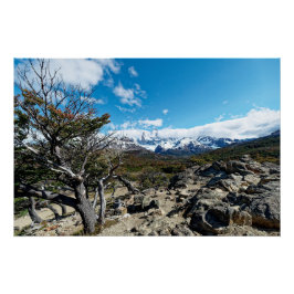 Pôster Looking towards Mt Fizroy