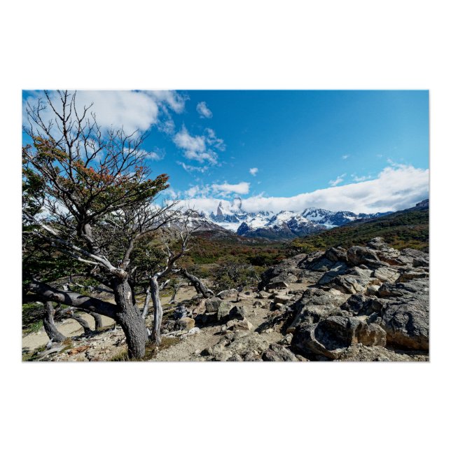 Pôster Looking towards Mt Fizroy (Frente)