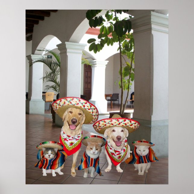 Poster Los amigos (Frente)